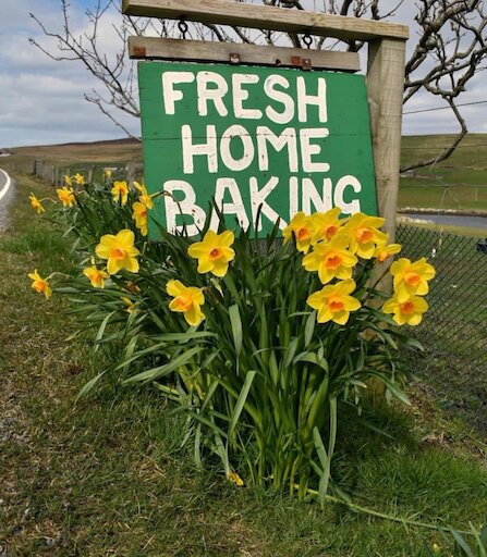 The Original Cake Fridge & Tea Room