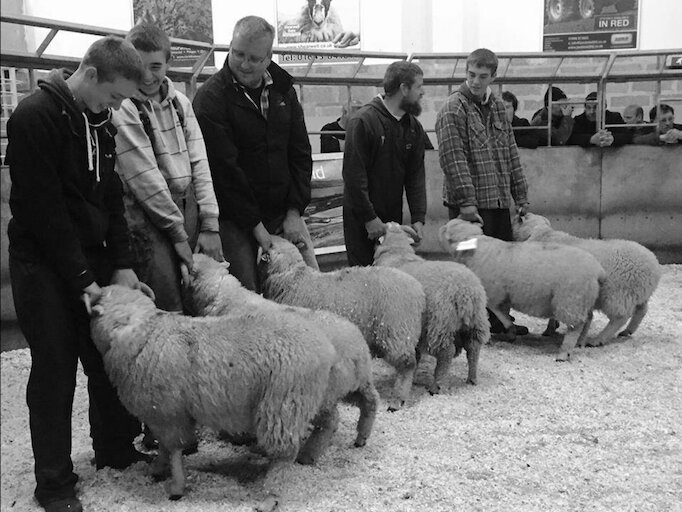 Shetland Livestock Marketing Group