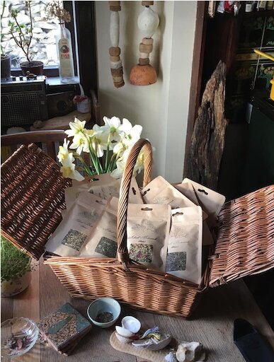 Island Botanicals