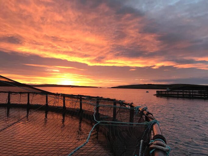 Cooke Aquaculture Scotland