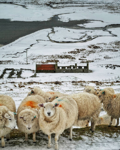 Promote Shetland