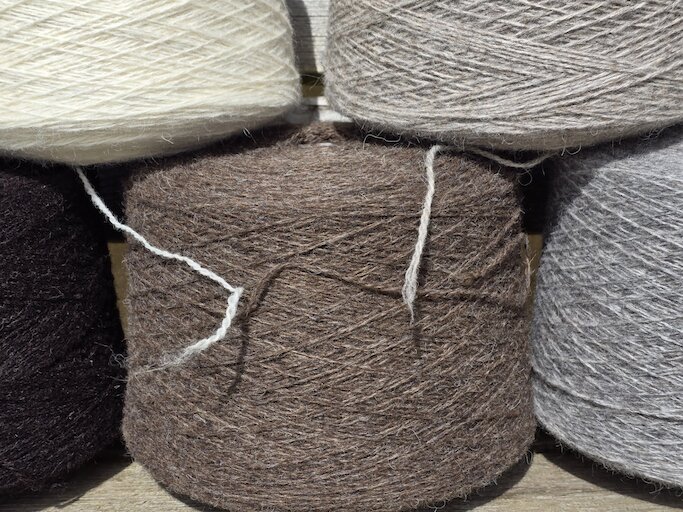 The Silly Sheep Fibre Co