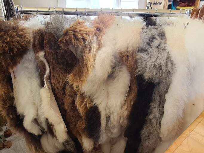 The Silly Sheep Fibre Co