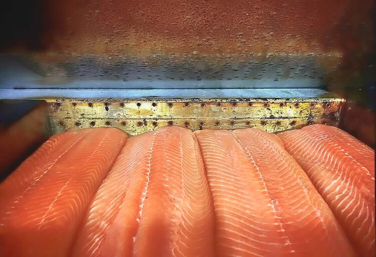 The Hand-Made Fish Co’