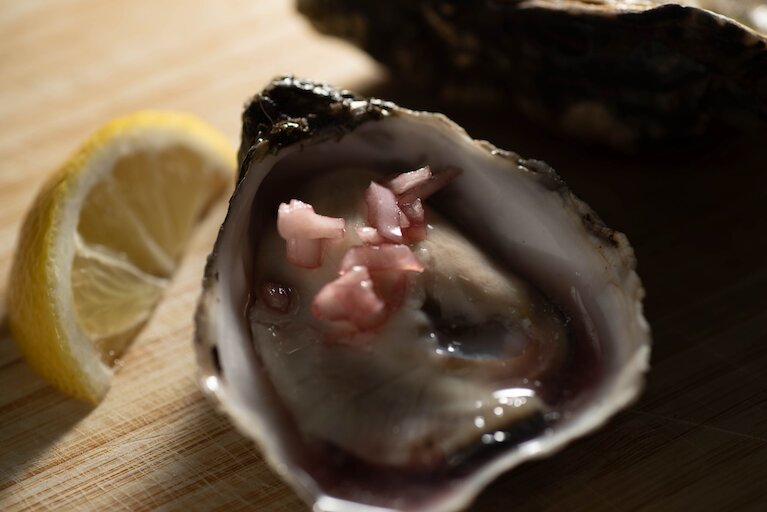 Shetland Oyster