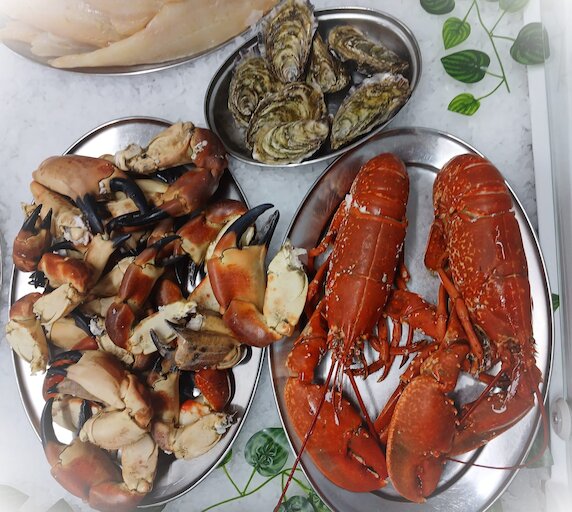 QA Fish ltd