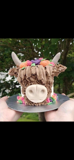 Wild Coast Cakes